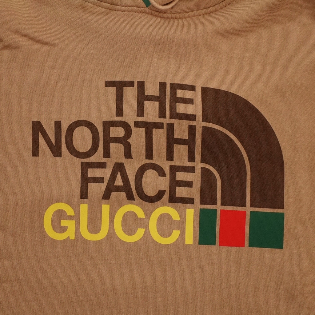 Gucci x the North Face Pullover Hoodie in Brown