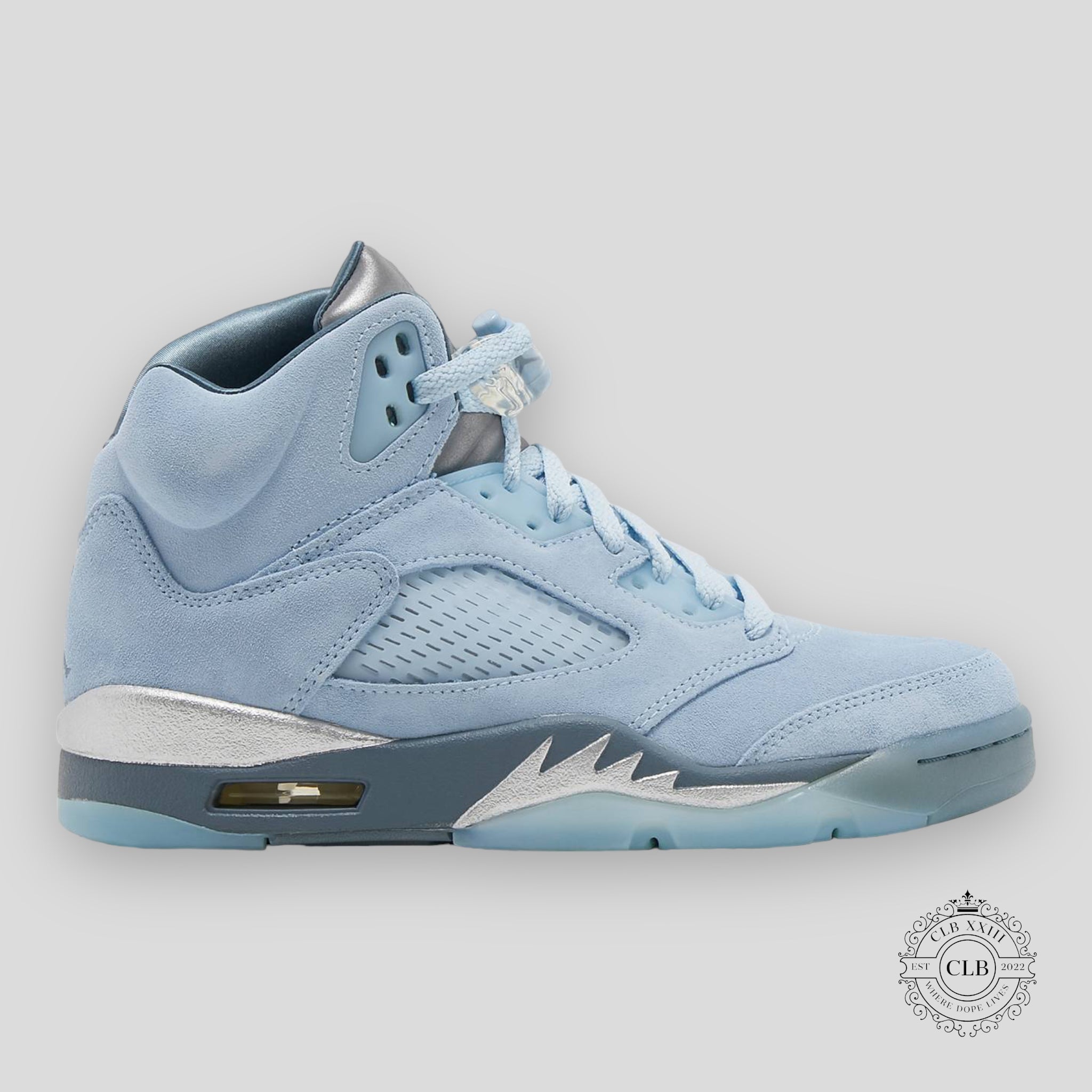 Air Jordan 5 Retro W Blue Bird