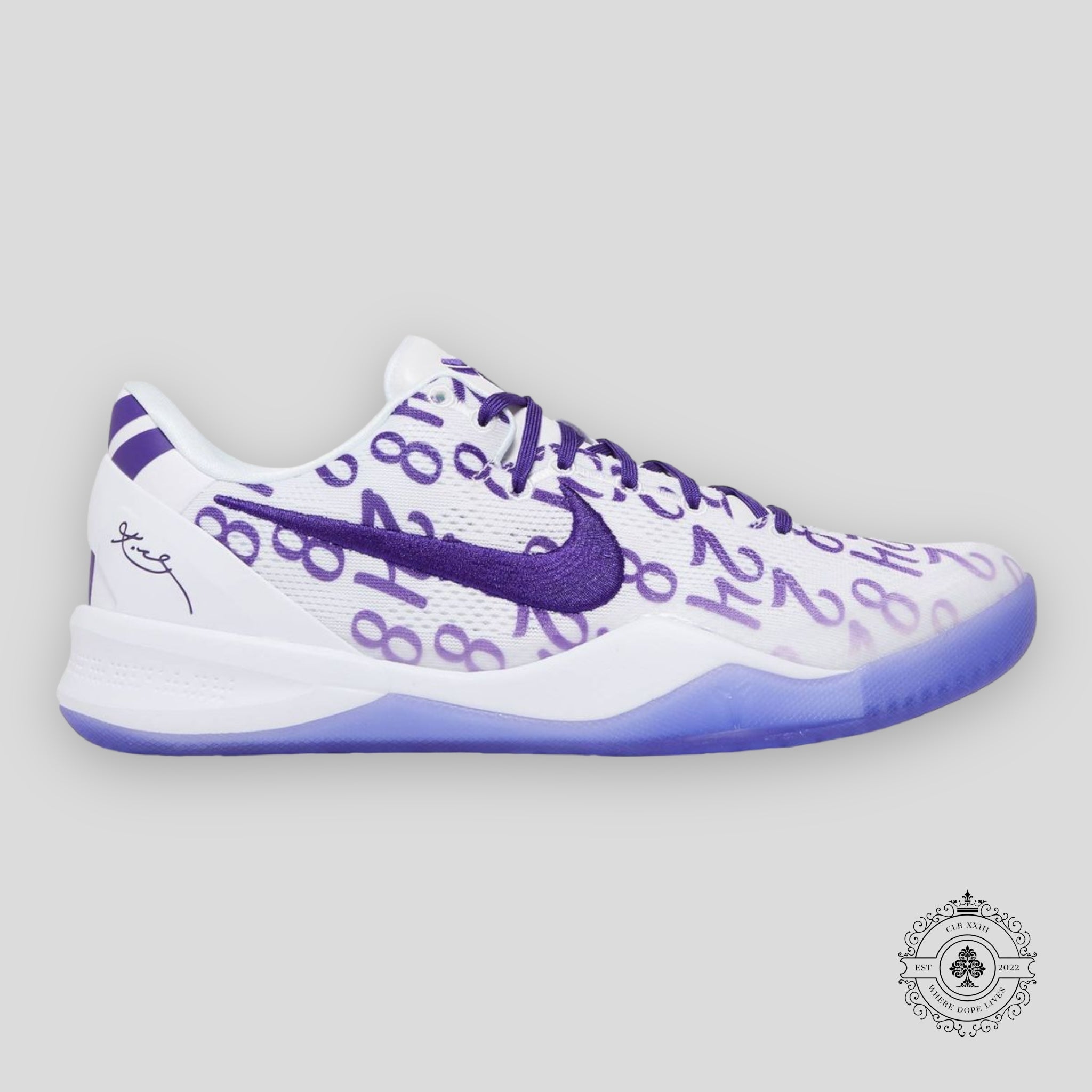 Nike Kobe 8 Protro GS Court Purple