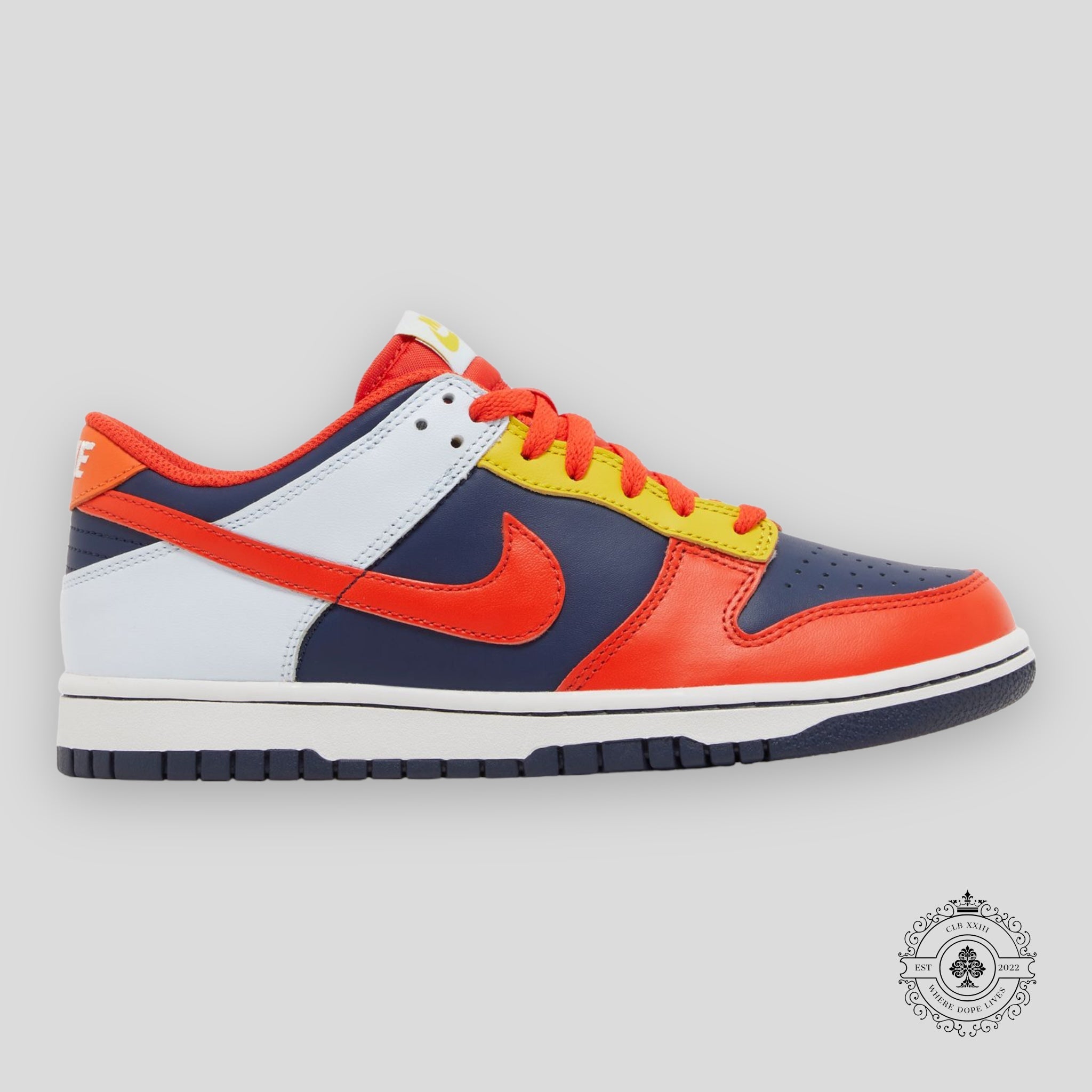 Nike Dunk Low GS What the