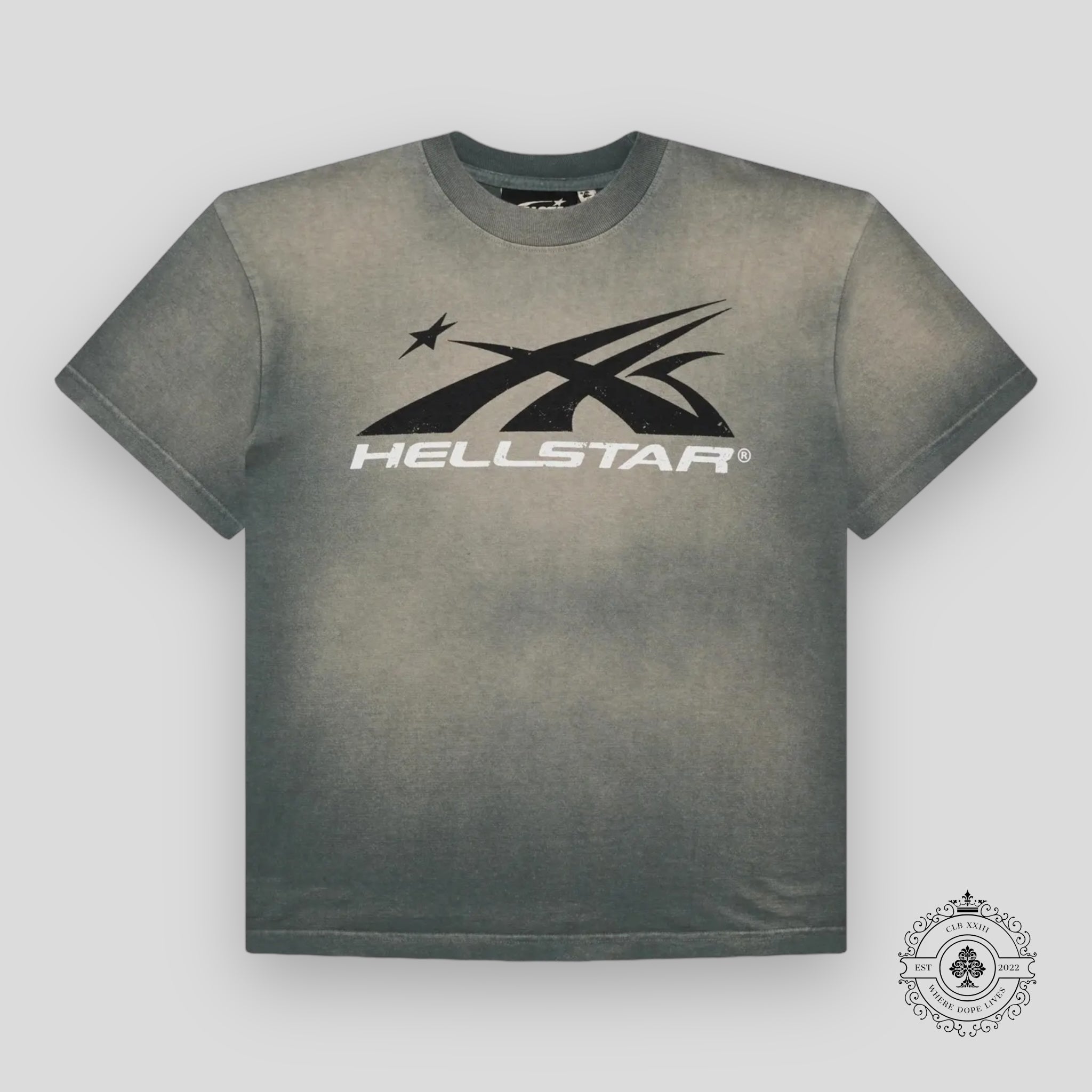 Hellstar Sport Logo T-Shirt in Grey