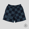 Louis Vuitton Damier Silk Shorts in Blue