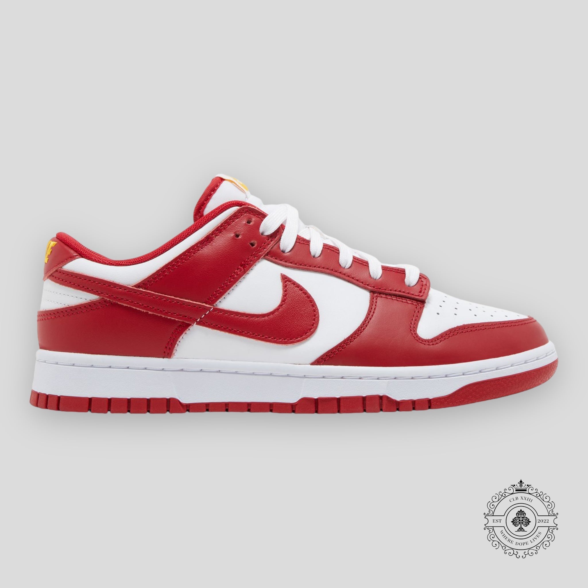 Nike Dunk Low Usc