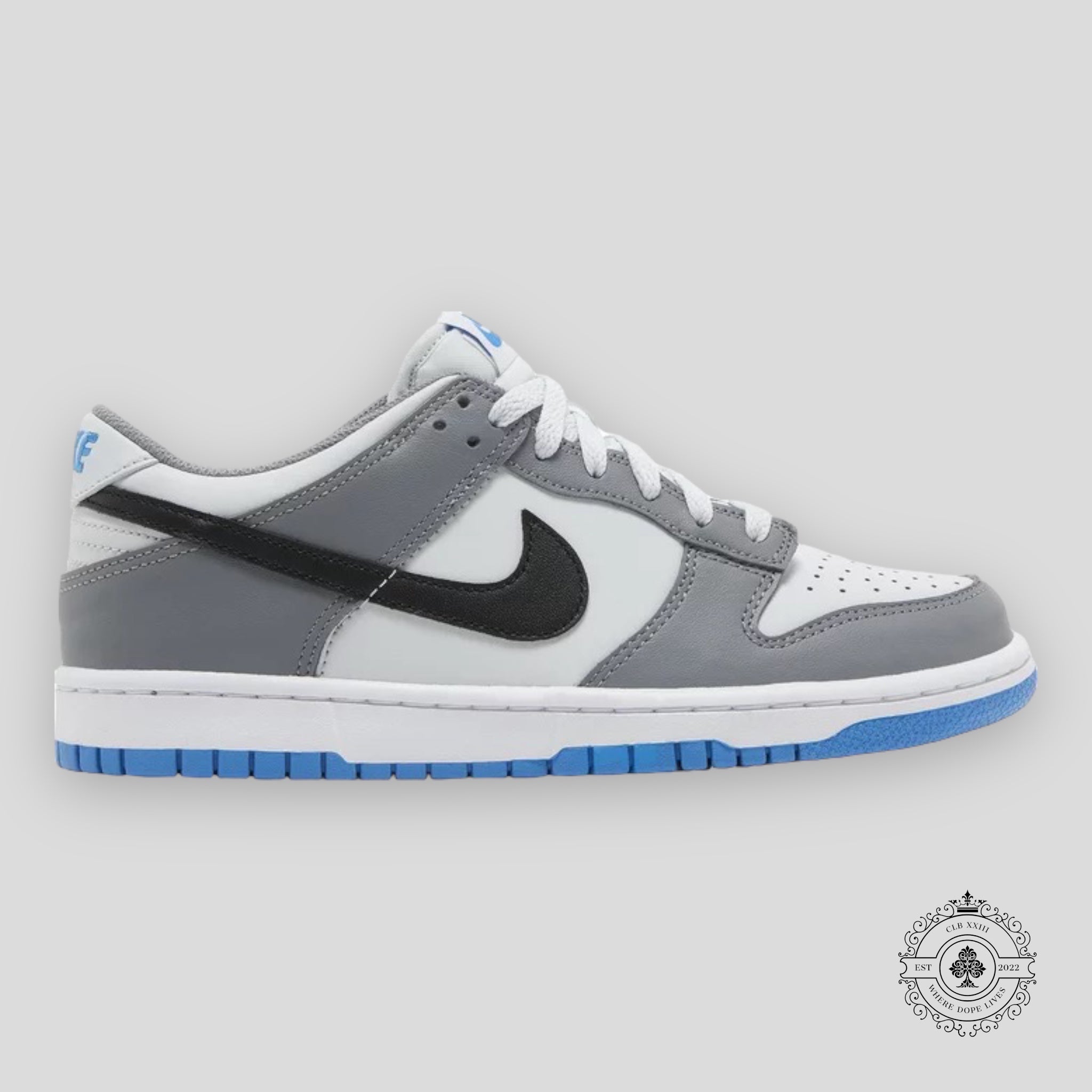 Nike Dunk Low GS Cool Grey Photo Blue