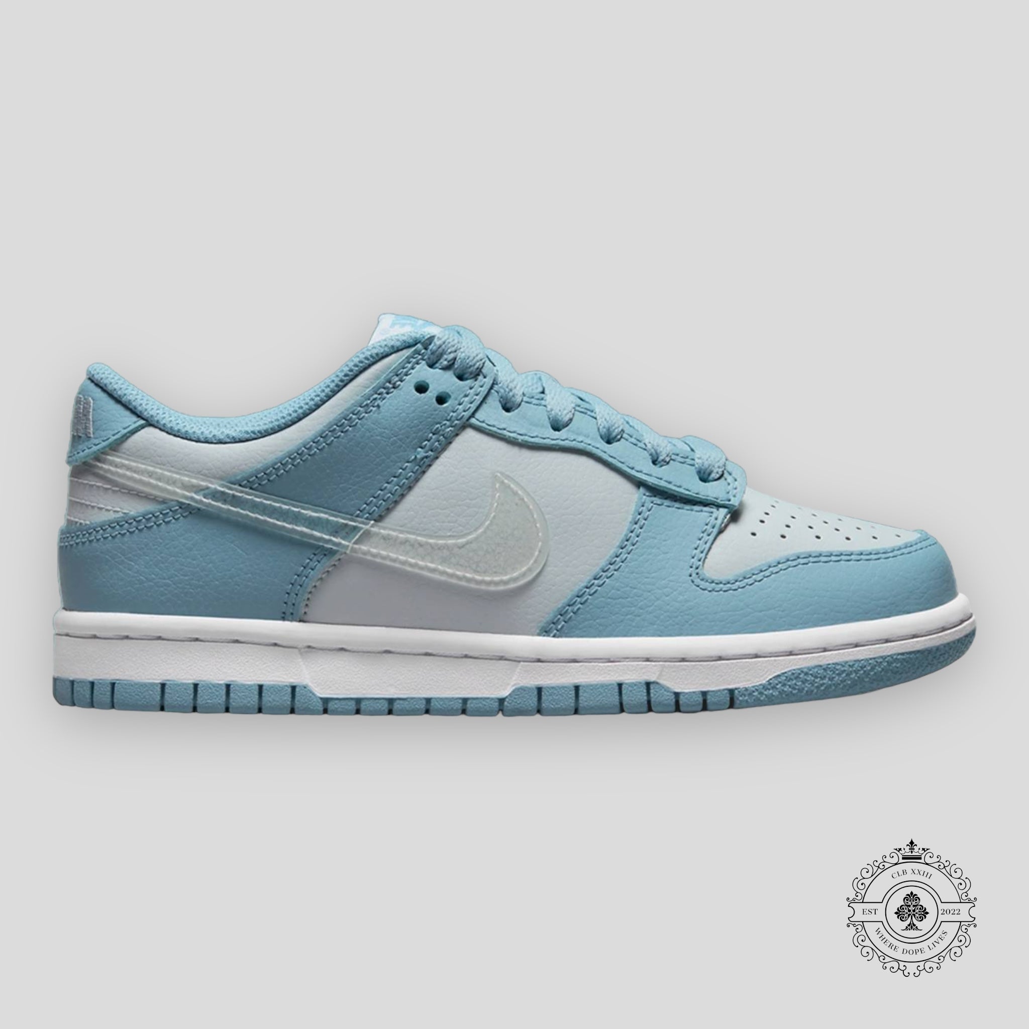 Nike Dunk Low GS Clear Blue Swoosh