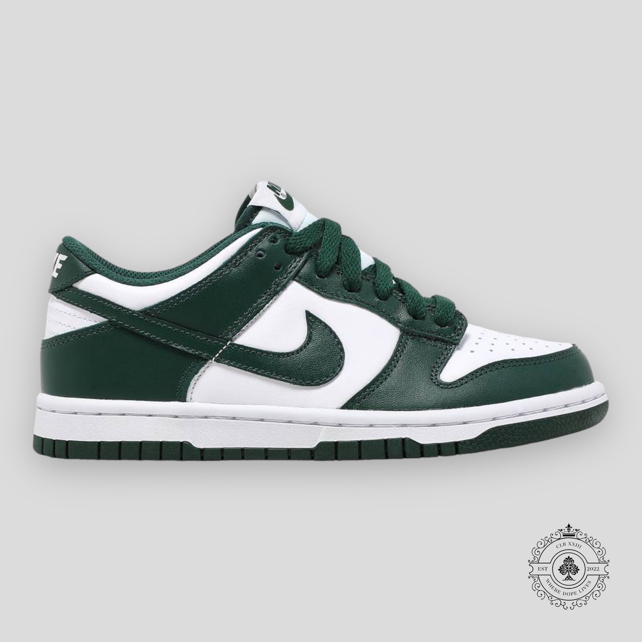 Nike Dunk Low GS Michigan State