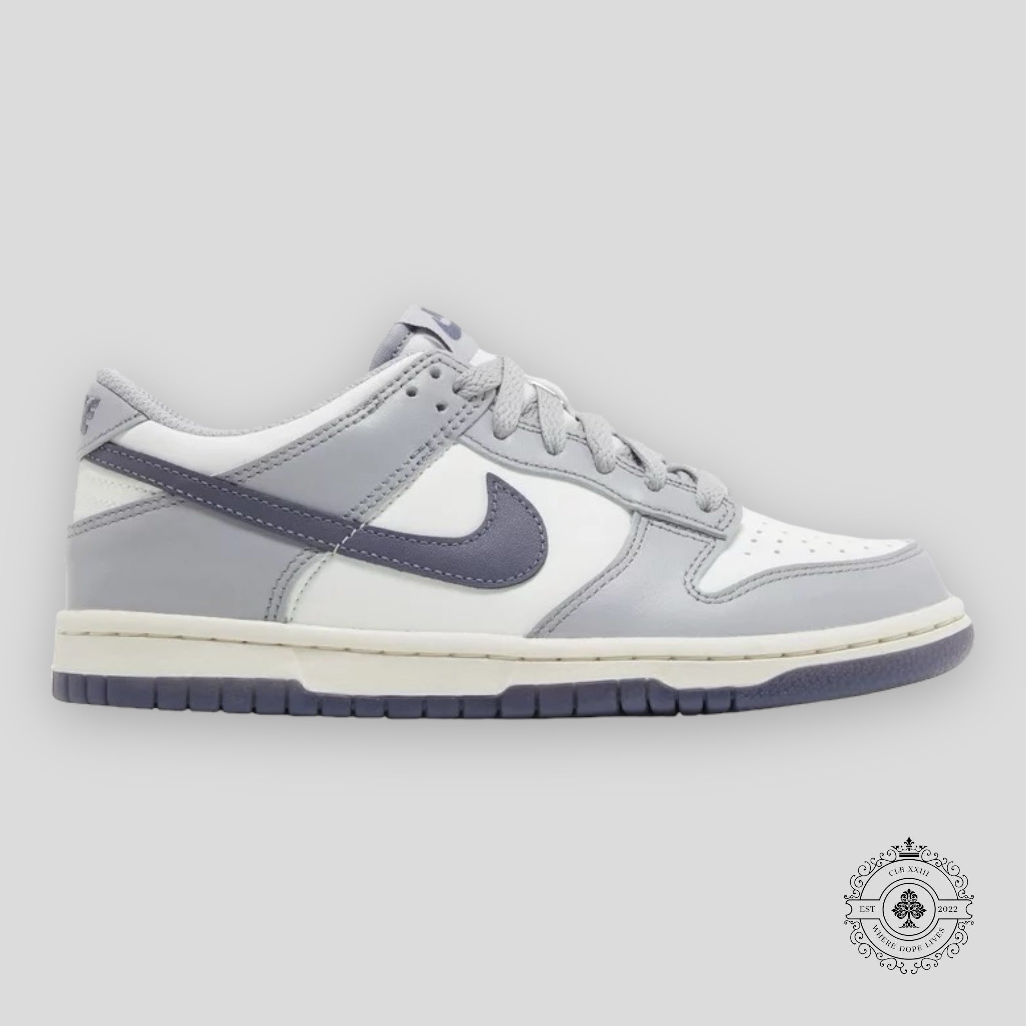 Nike Dunk Low GS Platinum Tint Light Carbon