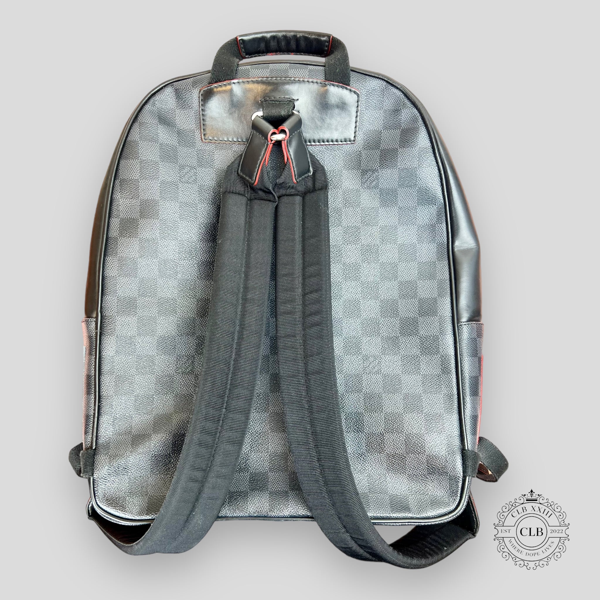 Louis Vuitton Alps Backpack