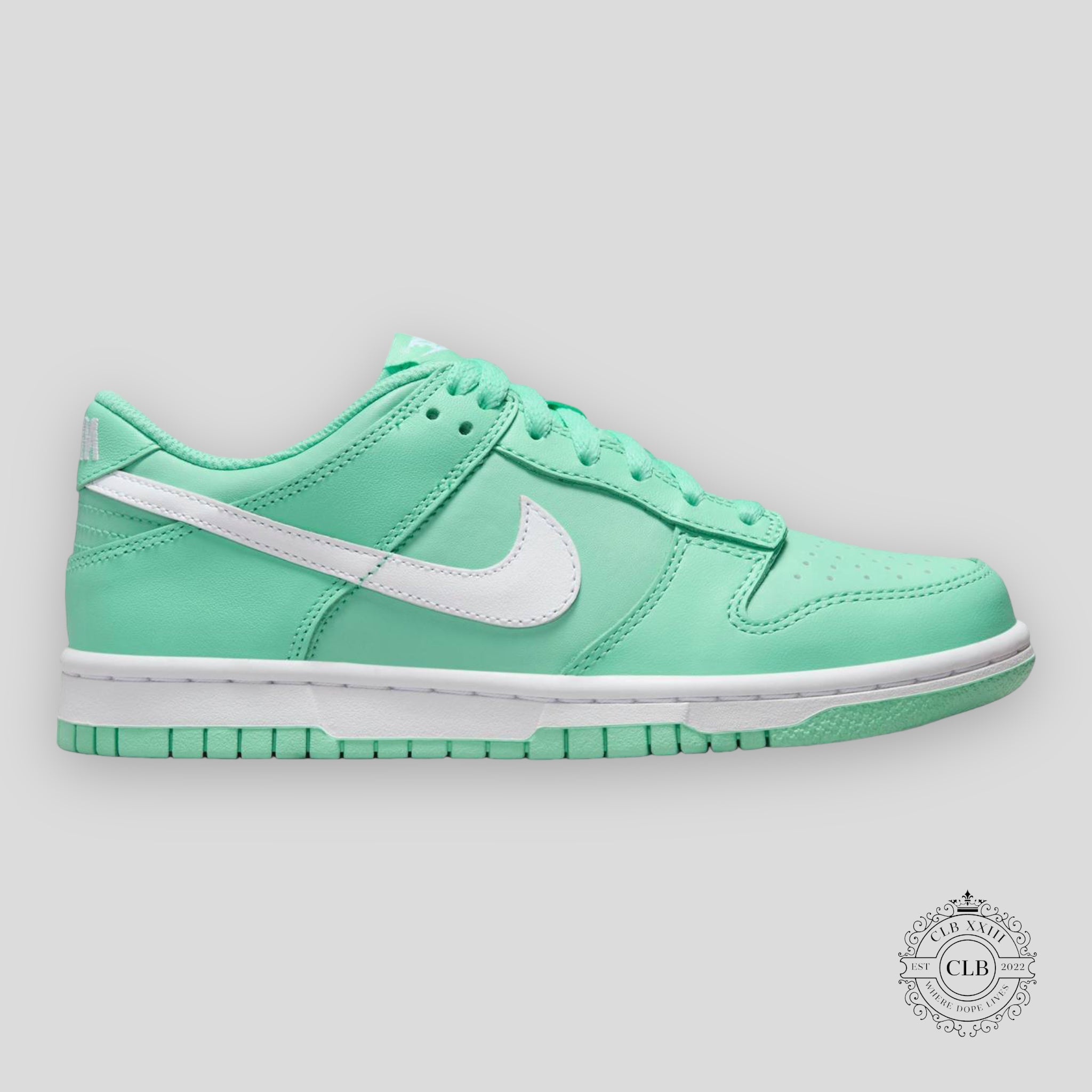 Nike Dunk Low GS Emerald