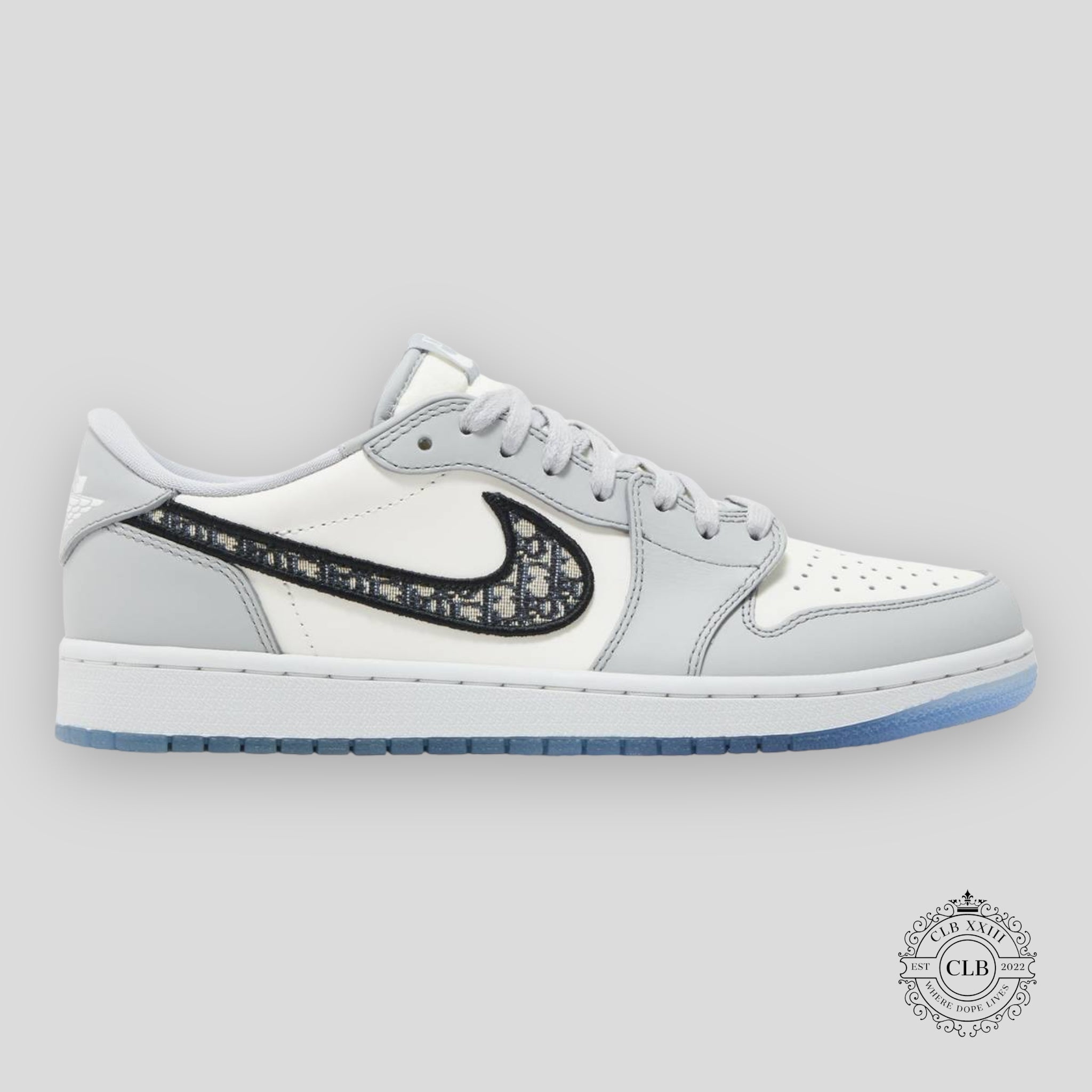 Air Jordan 1 Low x Christian Dior