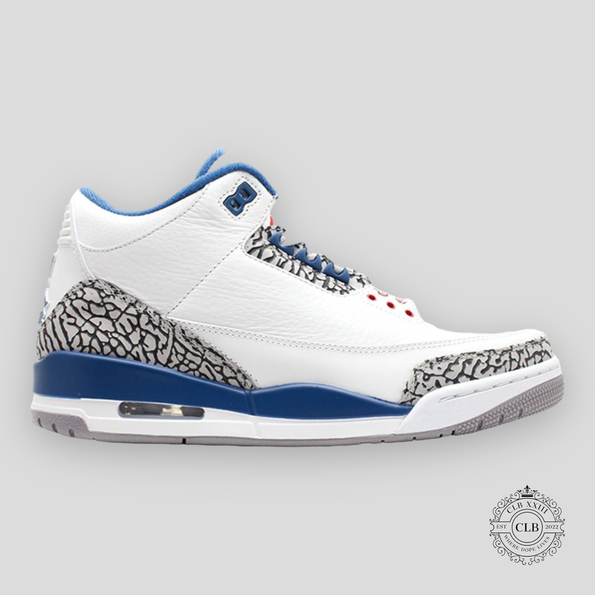 Air Jordan 3 Retro True Blue 2011