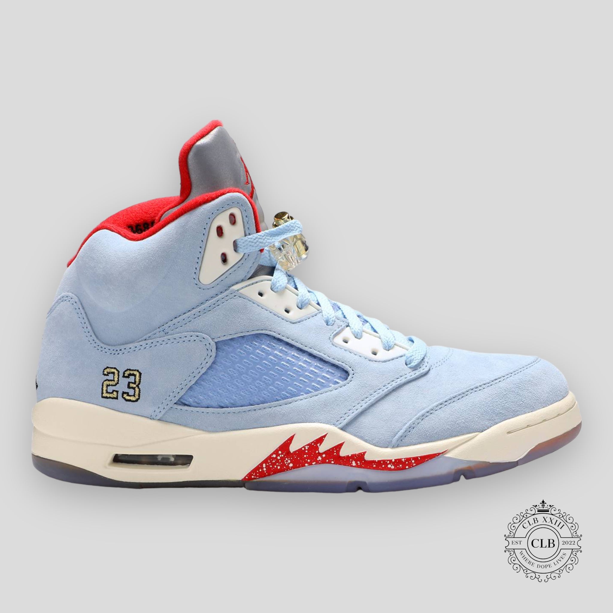 Air Jordan 5 Retro x Trophy Room Ice Blue