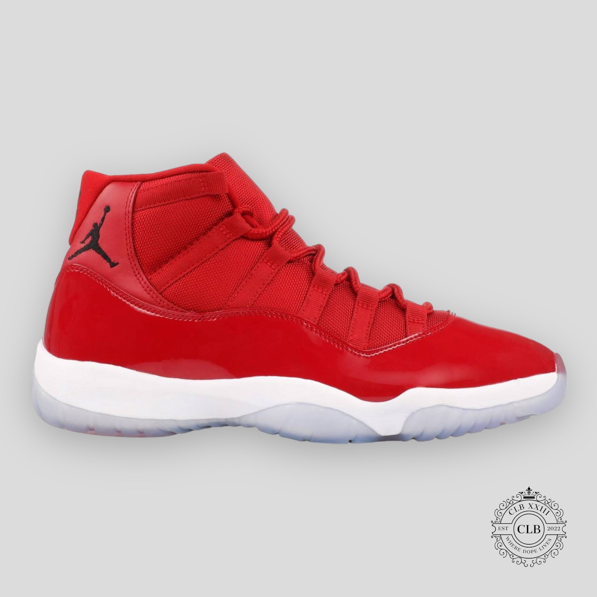 Air Jordan 11 Retro Win Like '96