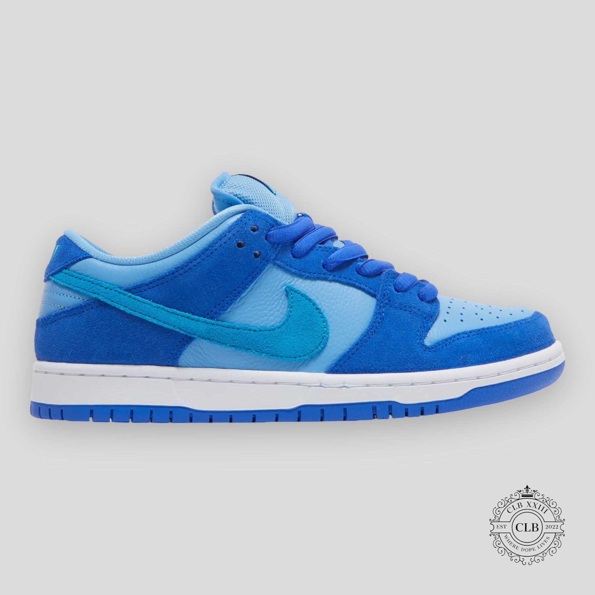 Nike SB Dunk Low Blue Raspberry