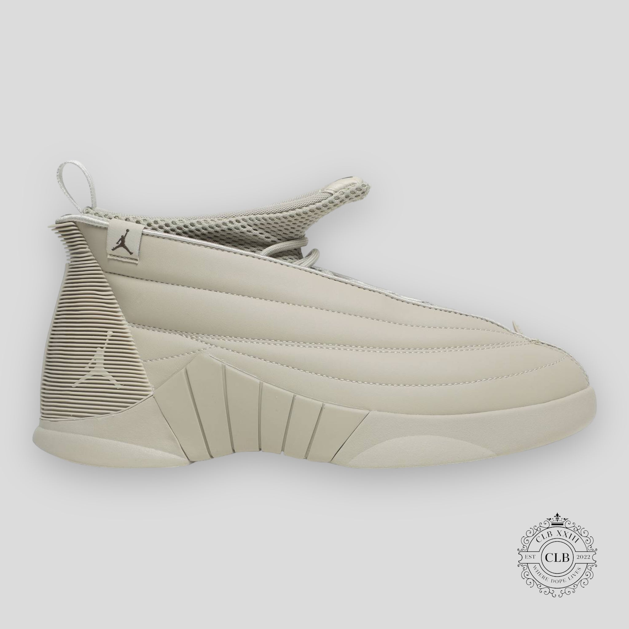 Air Jordan 15 Retro x Billie Eilish