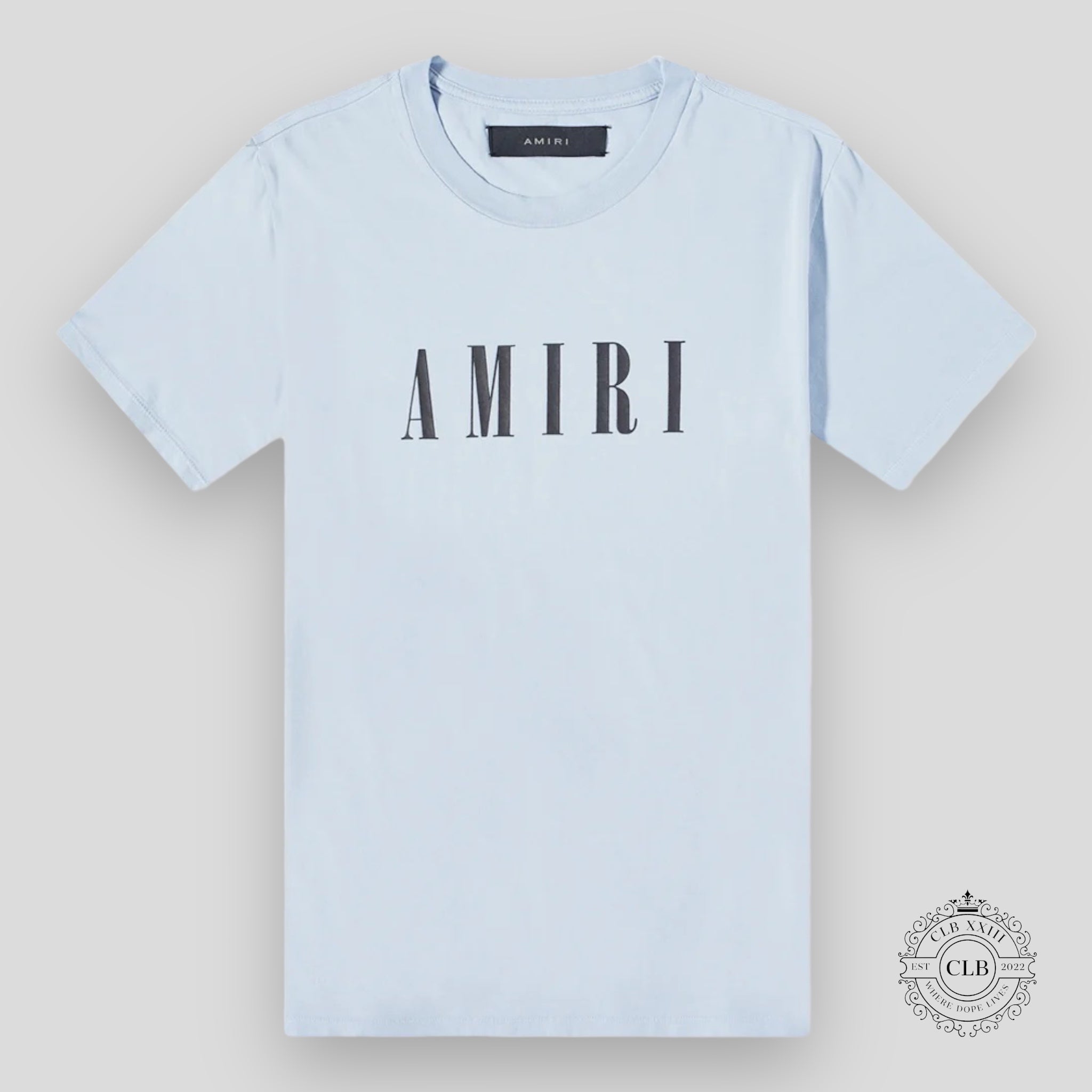 Amiri Core Logo Tee in Dusty Blue