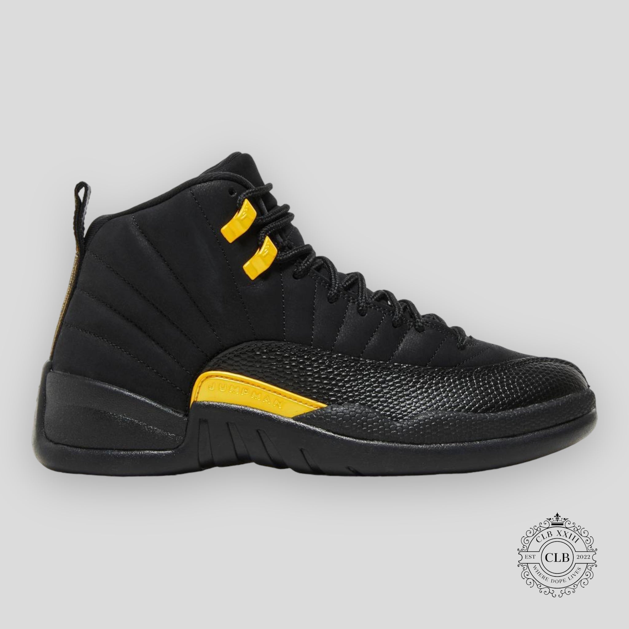 Air Jordan 12 Retro Black Taxi