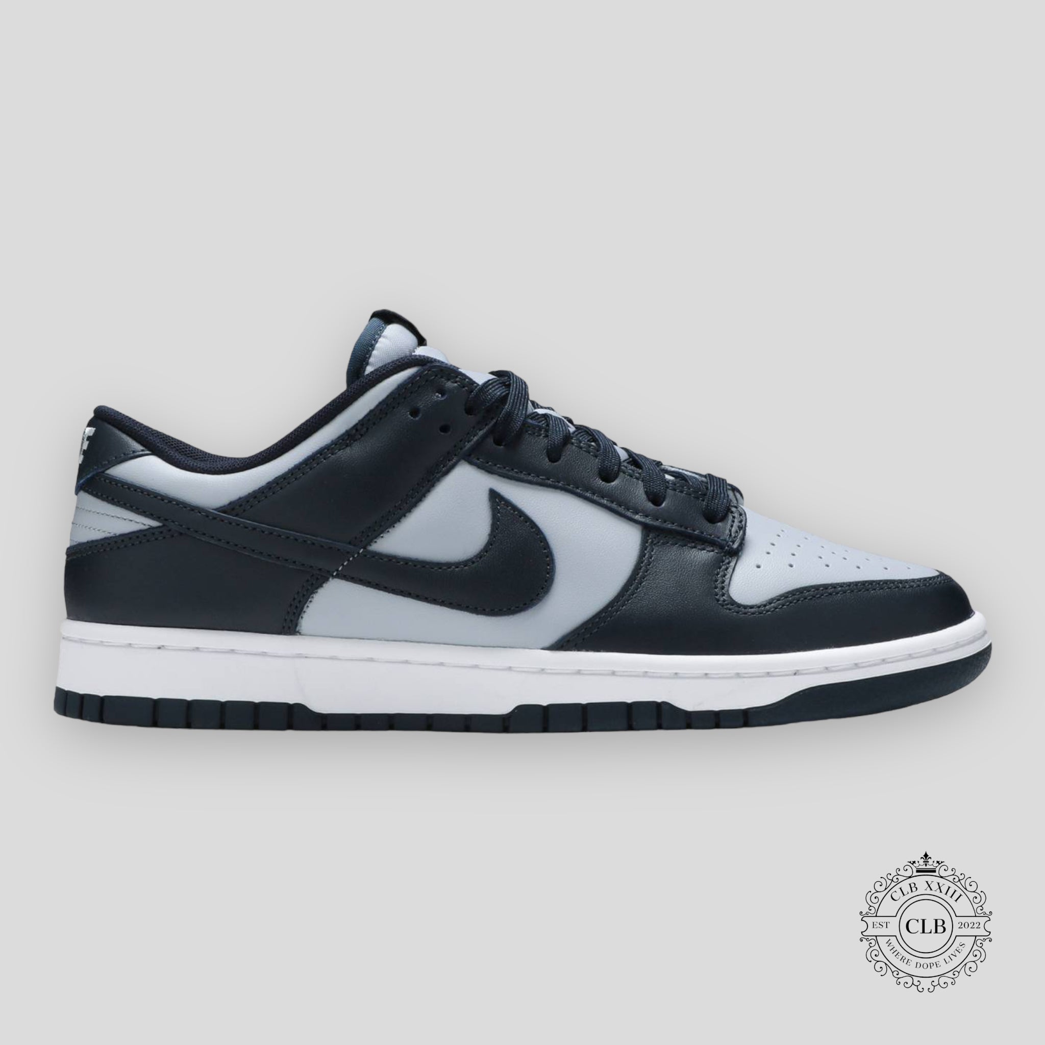 Nike Dunk Low Georgetown