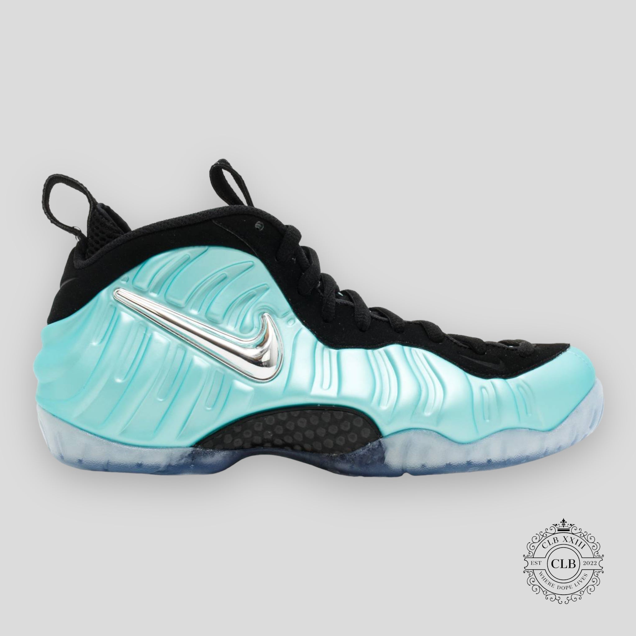 Nike Air Foamposite Pro Island Green