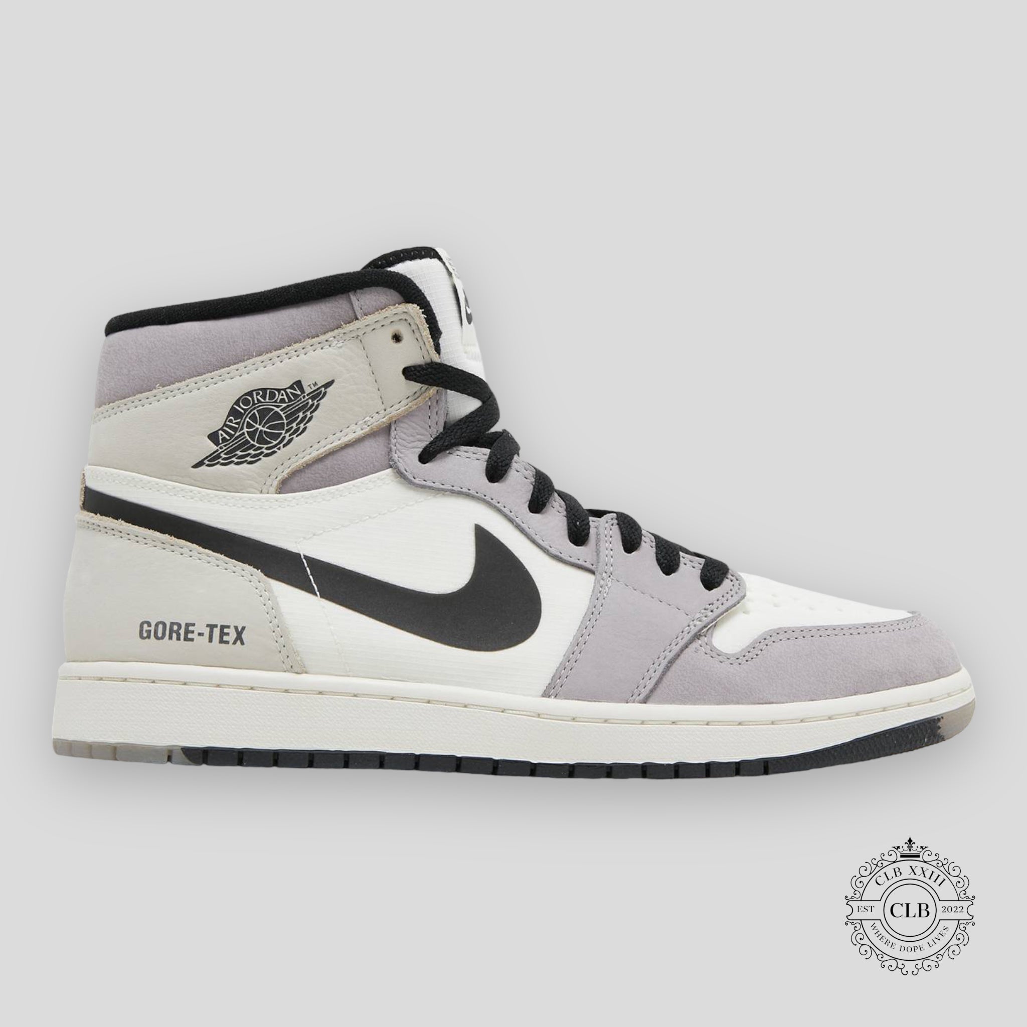 Air Jordan 1 Retro High x Gore-Tex Light Bone